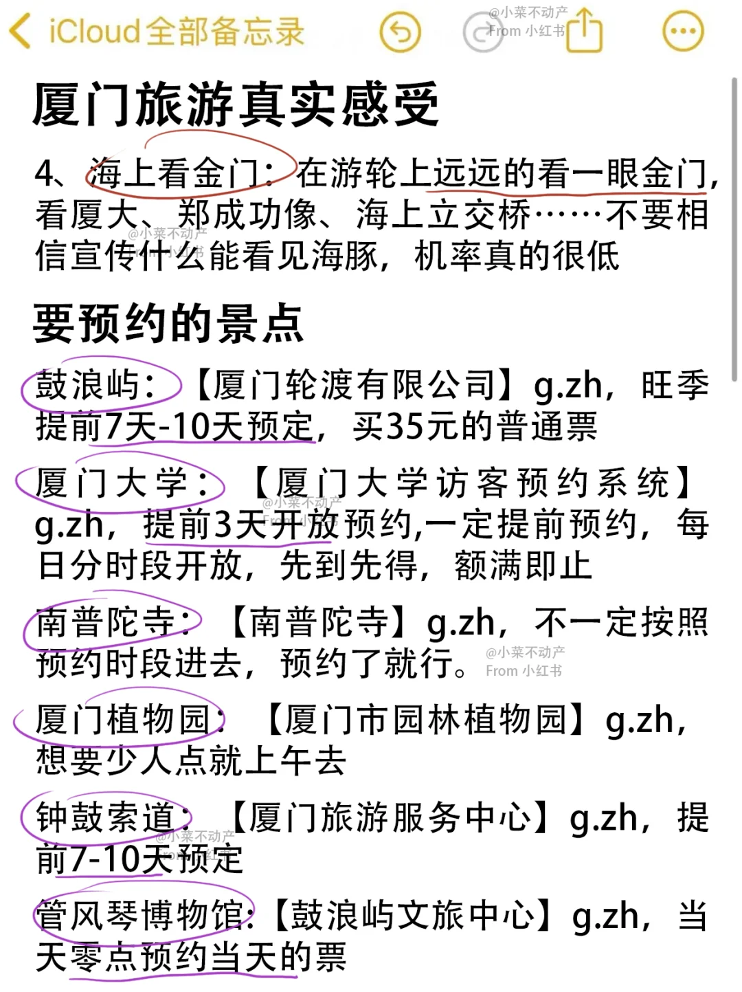 厦门旅游真实评价（仅个人意见&附攻略📋