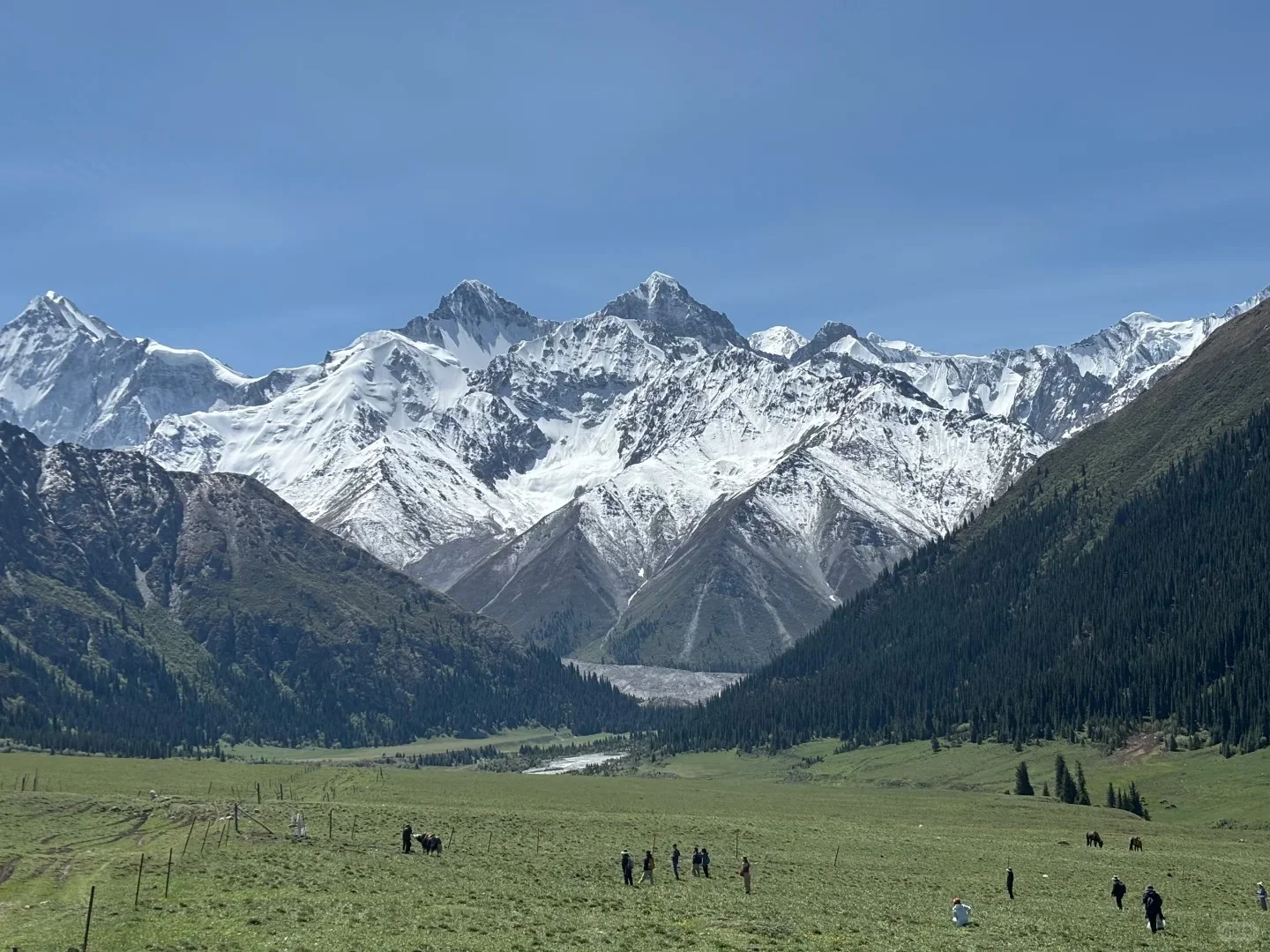 报的新疆游无界旅行社的亲子团，已经走了一
