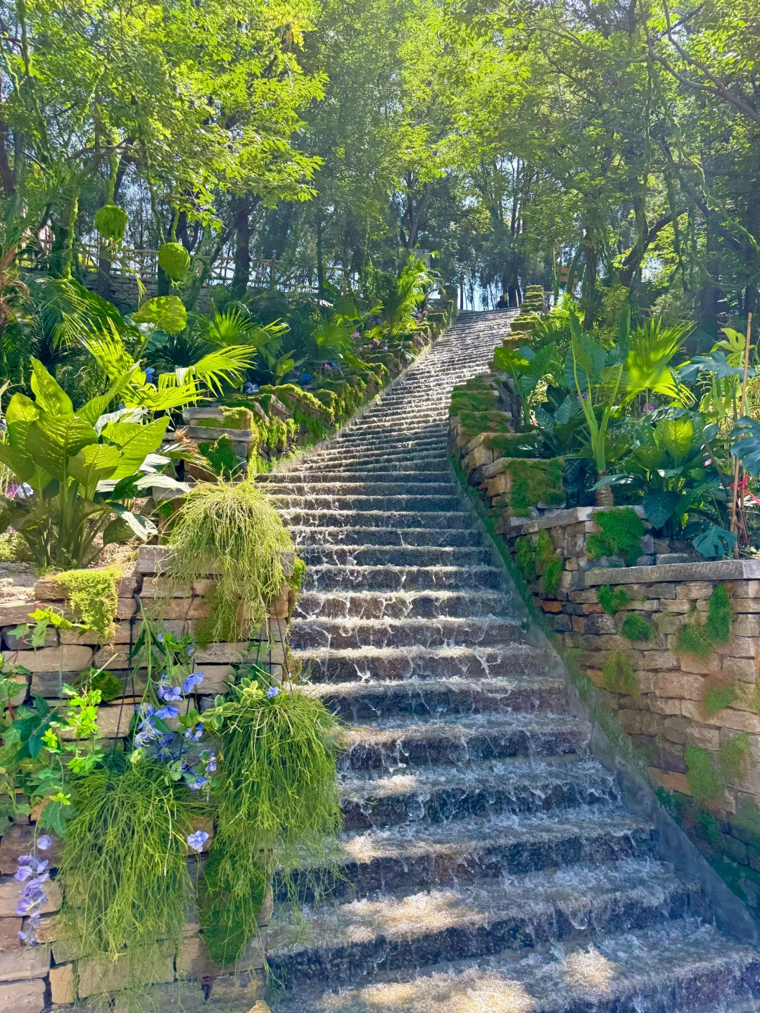 泰安开车2小时！发现绝美森林秘境🌳🦋