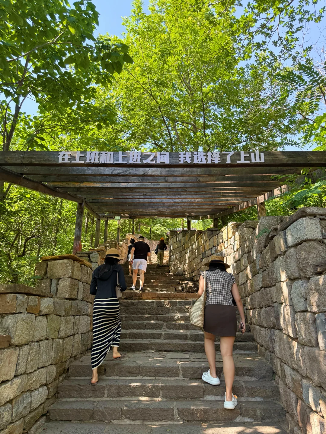 泰安开车2小时！发现绝美森林秘境🌳🦋