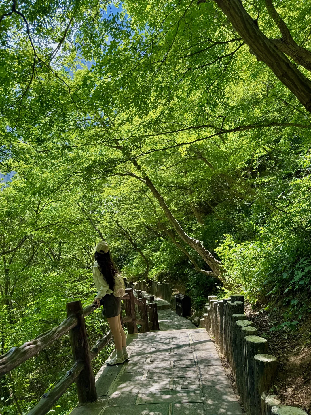 没人告诉我云台山这么美啊！20°的夏天好舒服