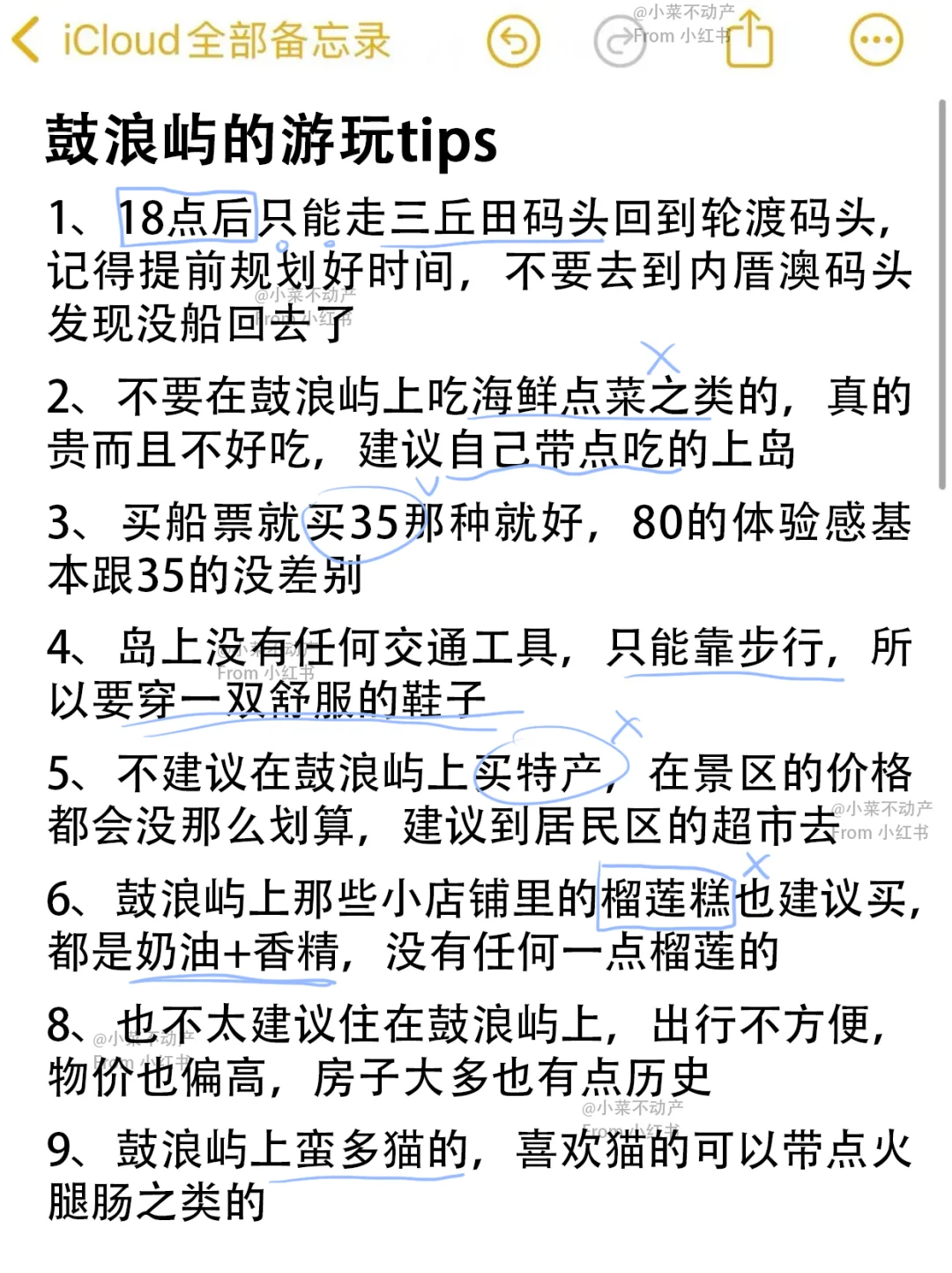厦门旅游真实评价（仅个人意见&附攻略📋