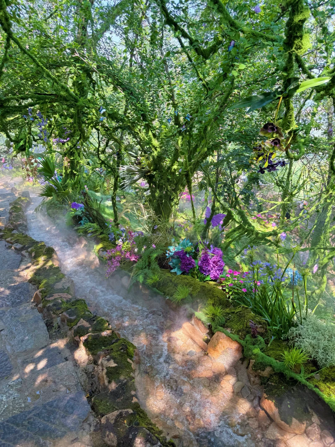 泰安开车2小时！发现绝美森林秘境🌳🦋