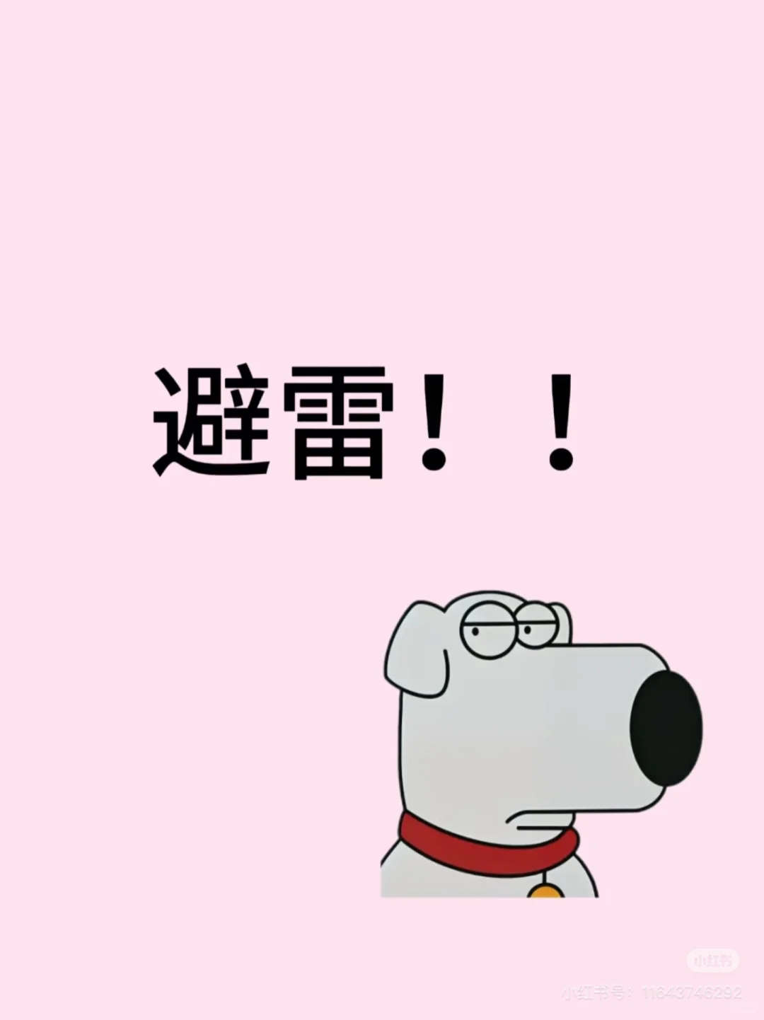 家人们谁懂啊这种被“网红景点”背刺的痛啊！