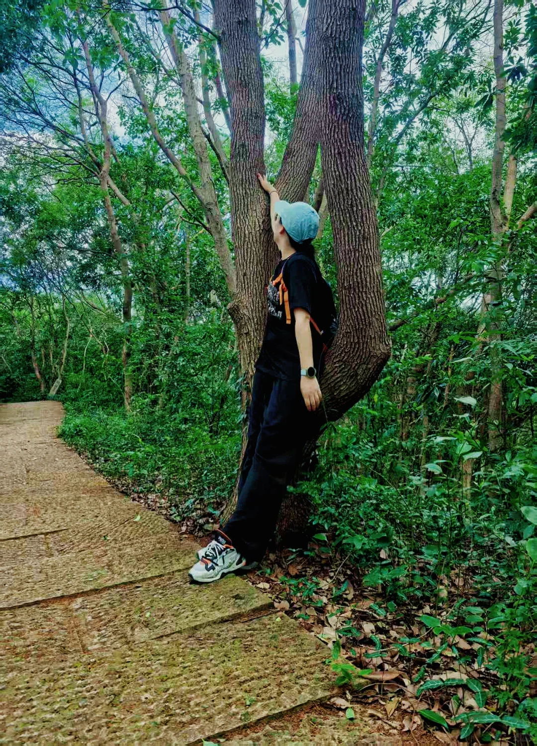 📍越王城山
