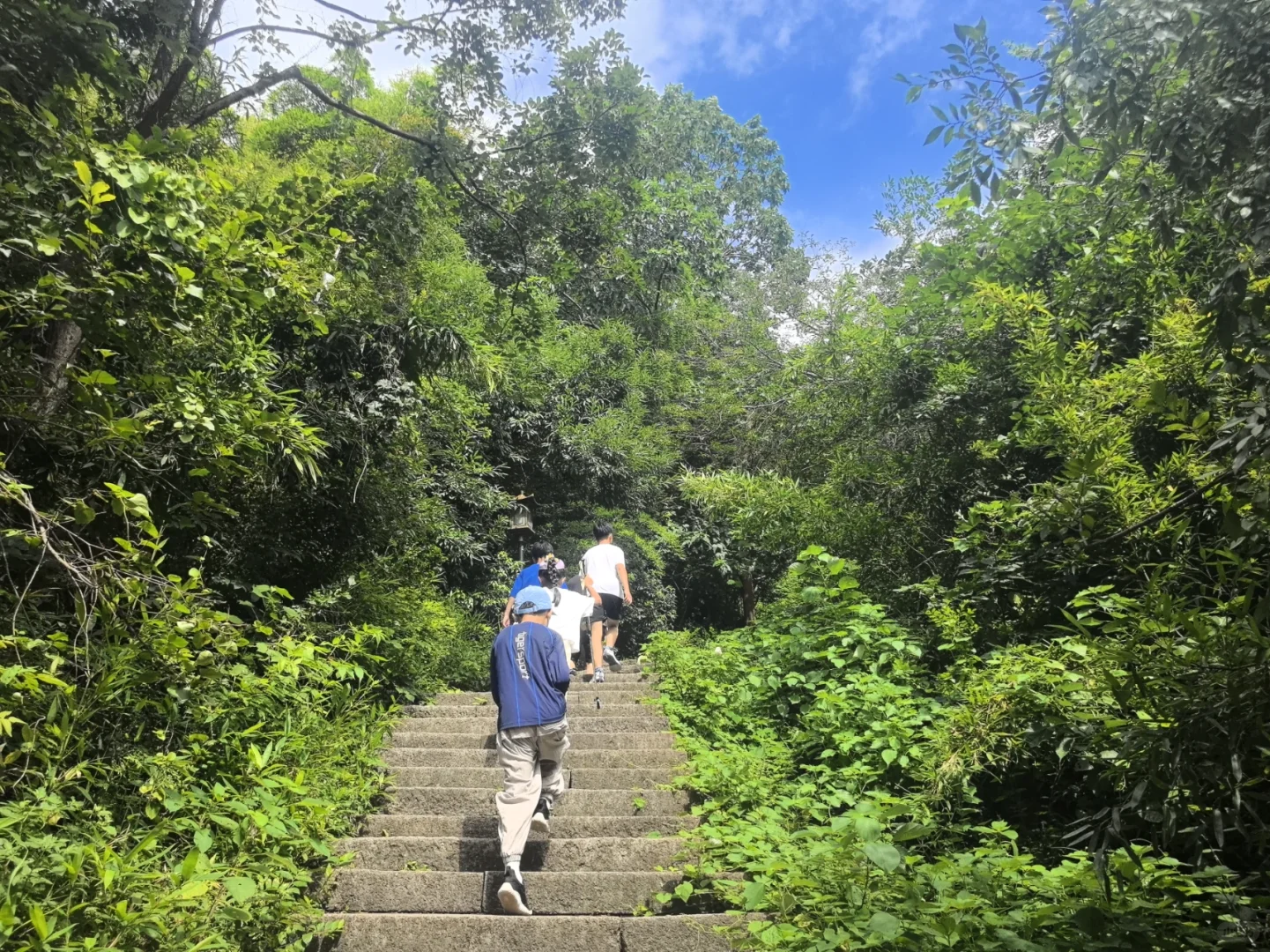 📍越王城山