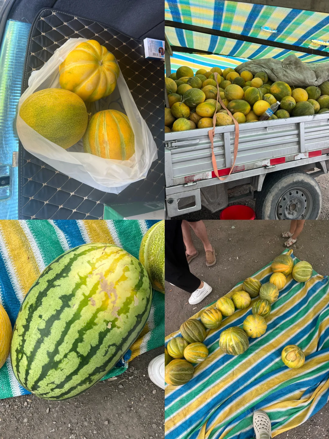 一家三口南京自驾新疆，你们关心花费来啦