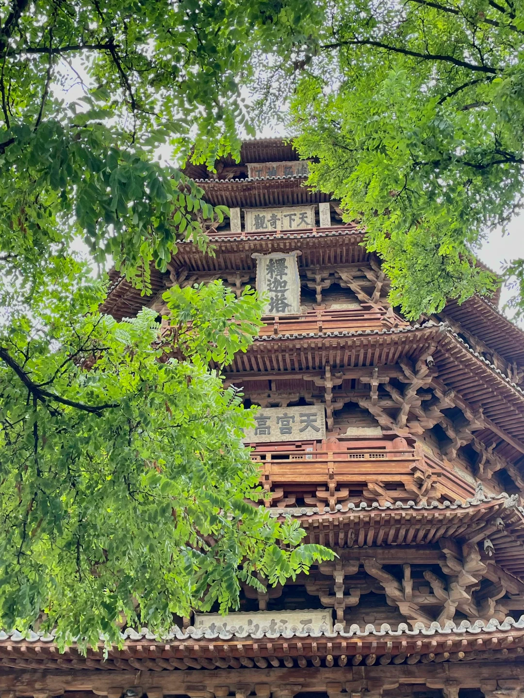 夏天旅游请看看大同😭均温20℃避暑太爽了！！！