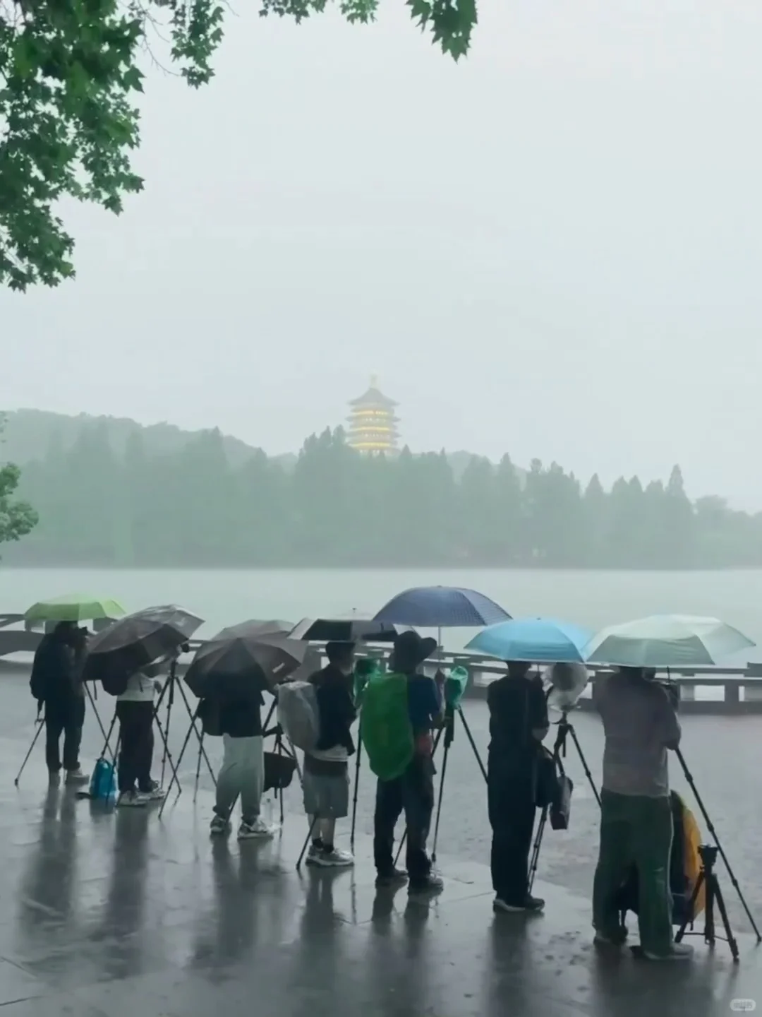 7.17📍杭州遭罪已回，真心建议大家…
