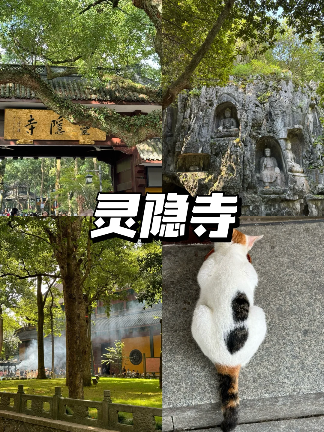 杭州旅游全攻略｜6-8月必去景点大揭秘！