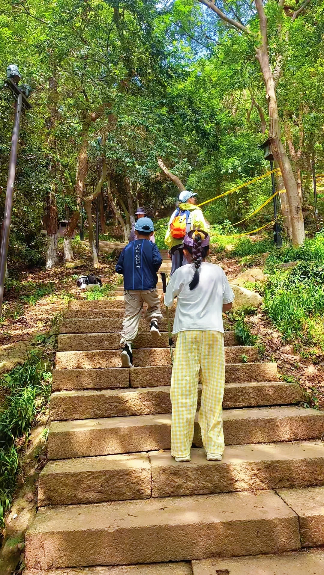 📍越王城山