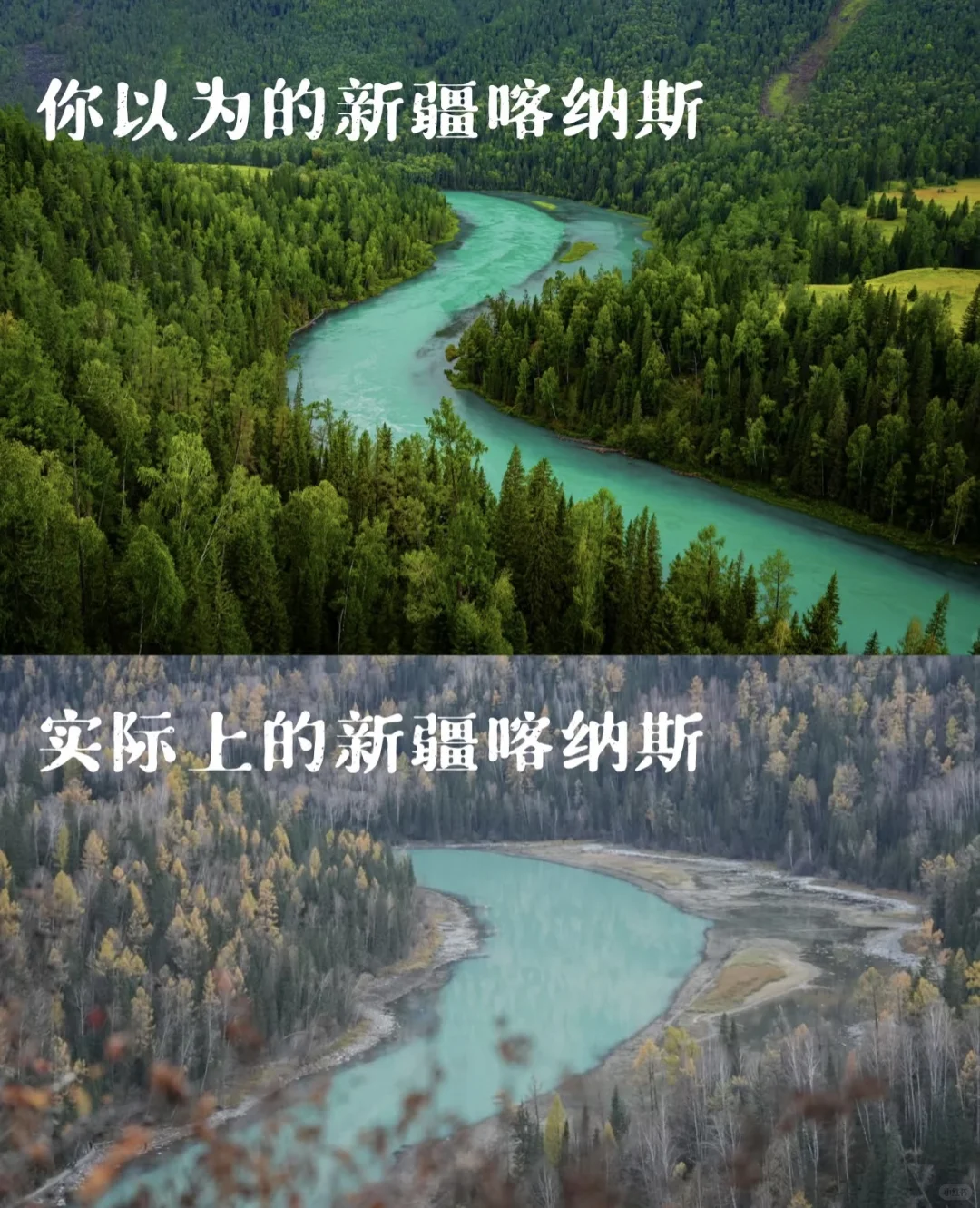 玩透归来！这些“反套路”提醒，早看早省心