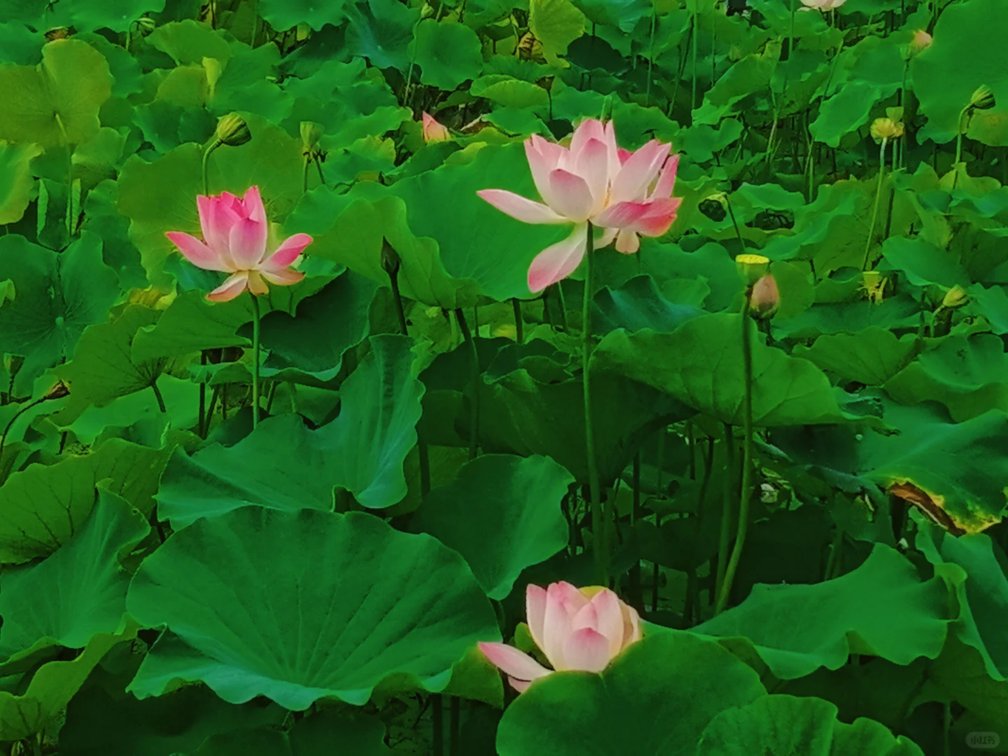 📍越王城山