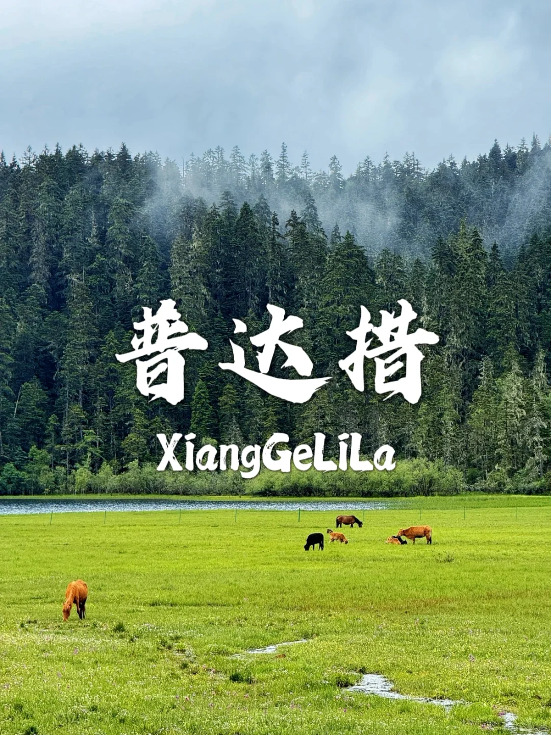 香格里拉必去九个景点，一个比一个美！！
