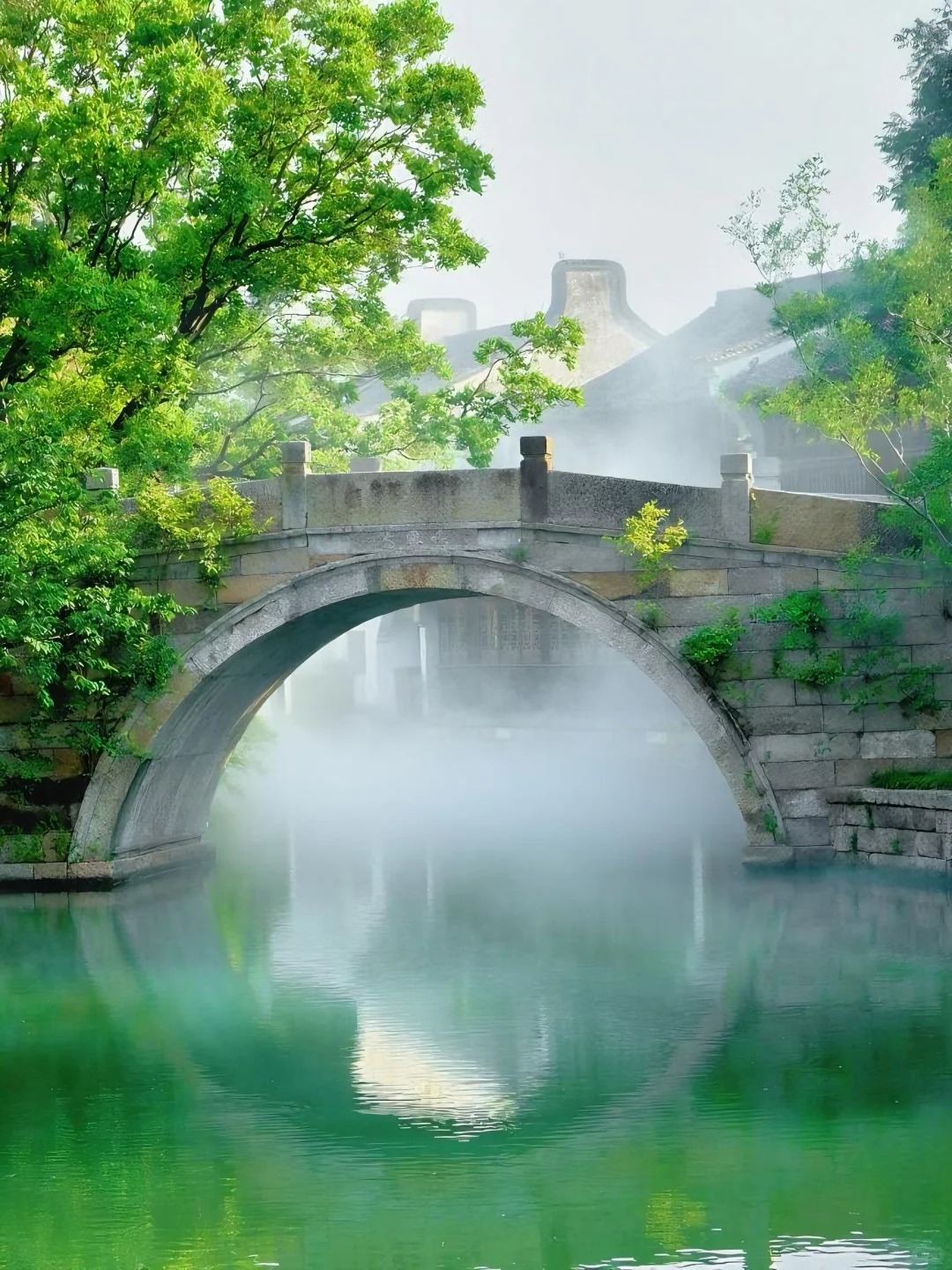 🍃 比起乌镇，我更爱这个凉爽的宝藏小镇…