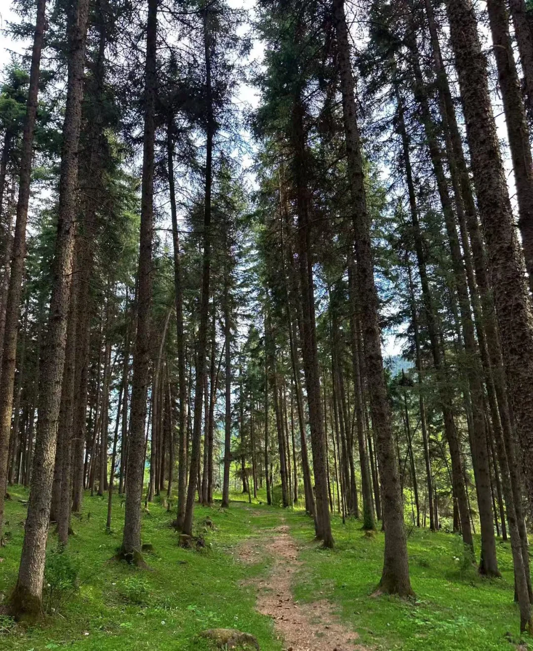 宝藏城市西宁，藏着人间天堂！⛰️