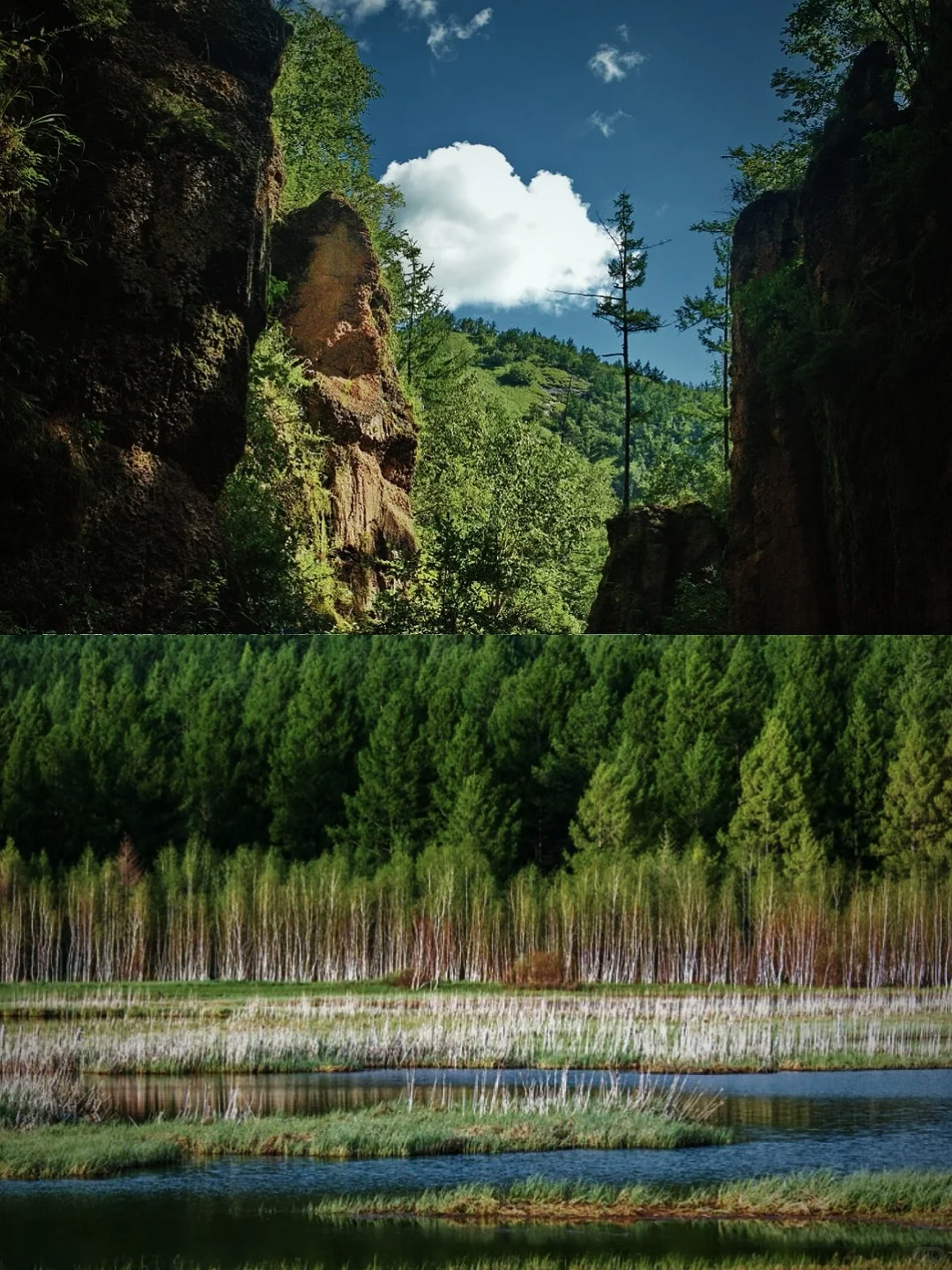 毕业旅行现在就出发🌳遇见夏天的童话阿尔山
