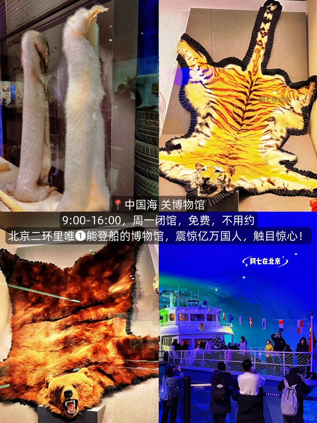 北京。。蕞好的地方果然都是免费的❗️❶❾合集✋