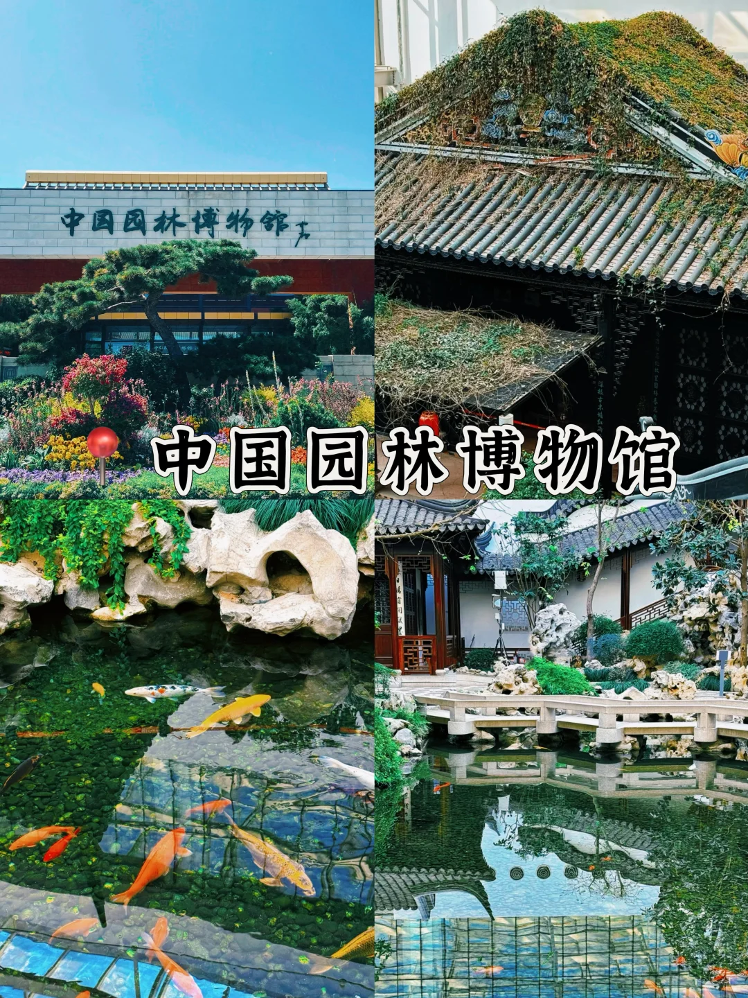 北京十个免预约博物馆|遛娃➕避暑圣地🔥