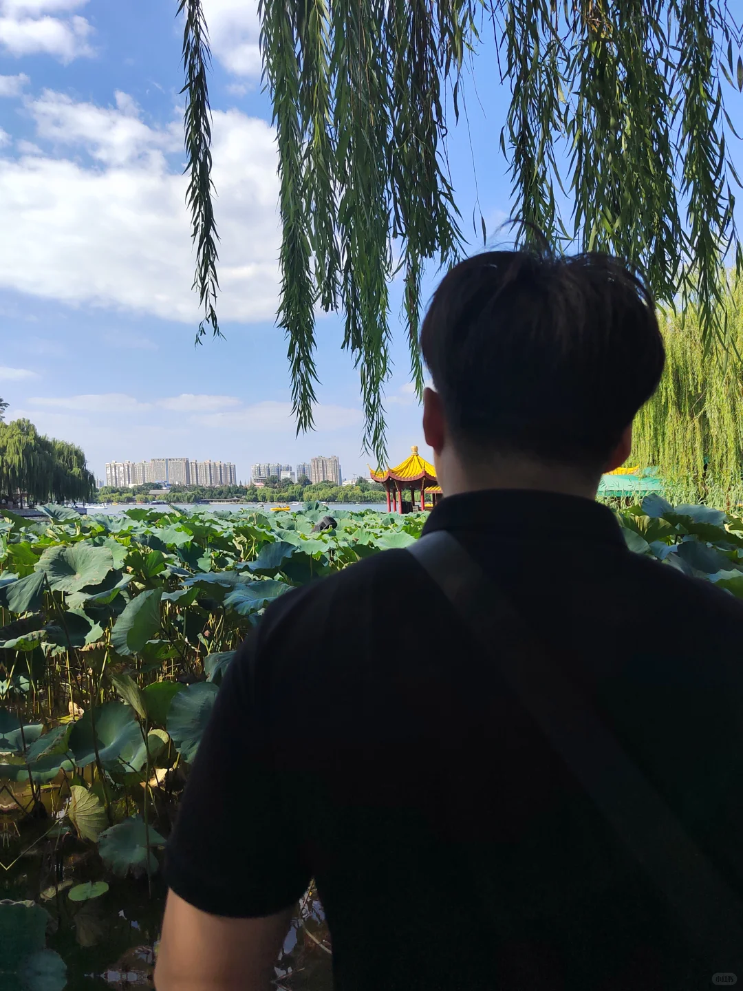 济南一天玩遍了！（邯郸出发济南