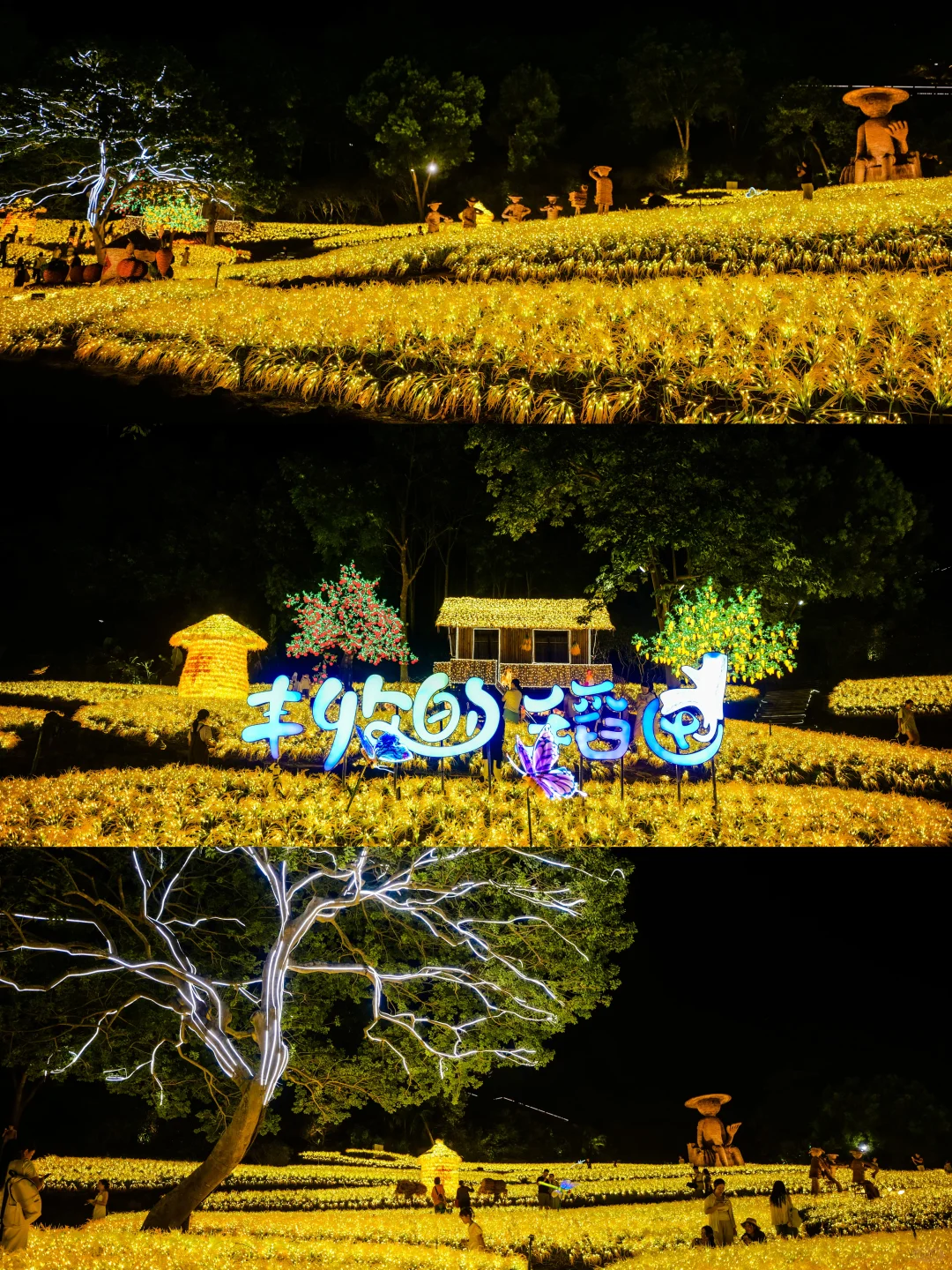 南宁夜花园必打卡十个景点(附攻略）