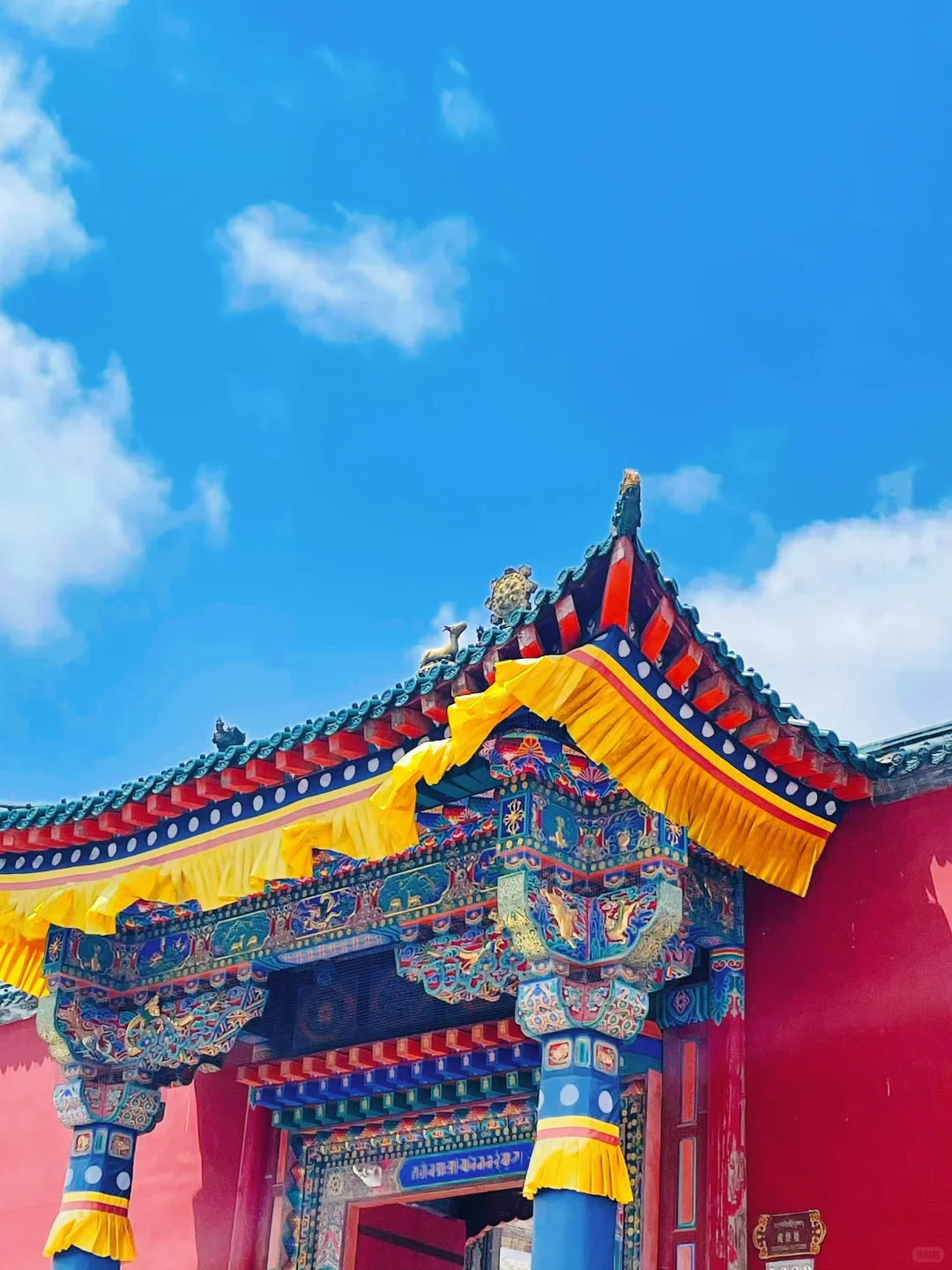 均温17℃，没蚊子！中国最凉快城市好吃好玩
