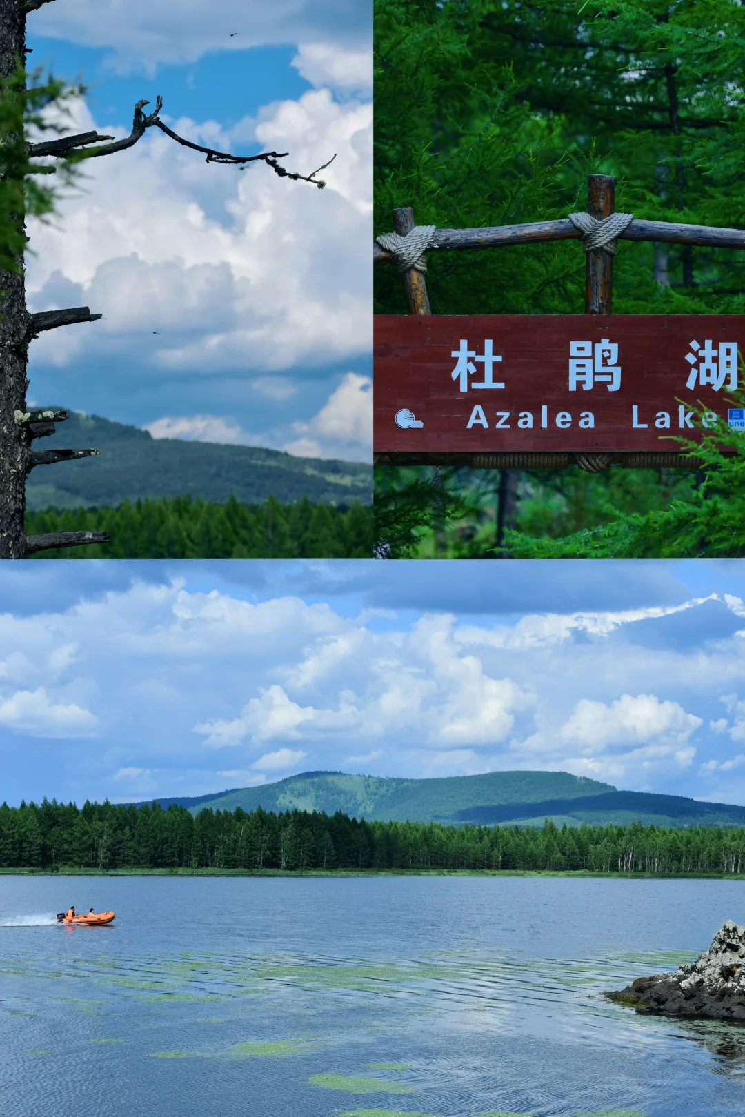 阿尔山必打卡景点|国家森林公园
