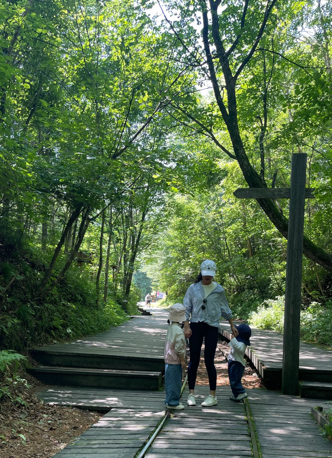 北京出发🌳带娃去25度的伊春过夏天啦