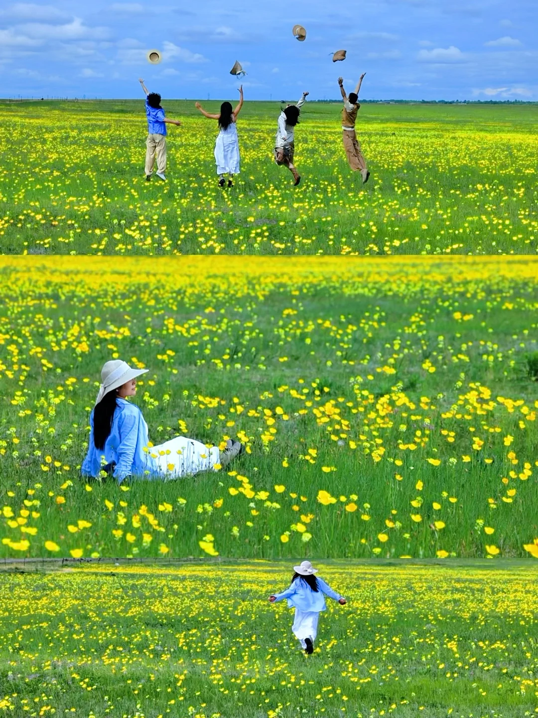 此刻现在的呼伦贝尔就是人间理想｜live图