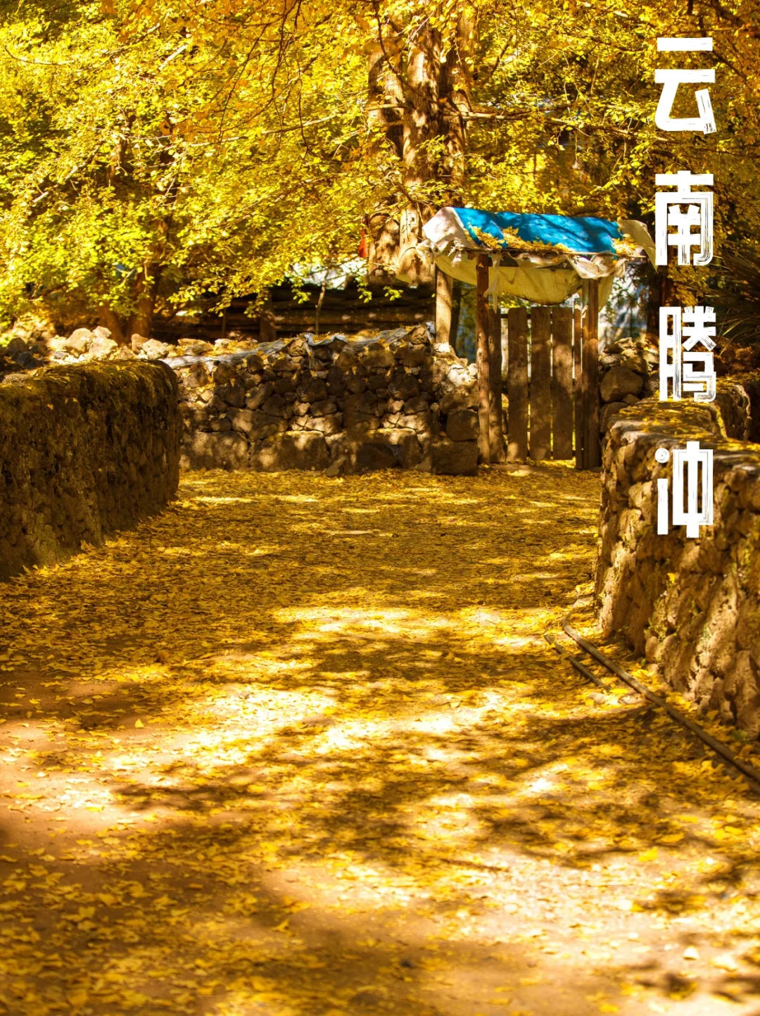 收集2025年秋天必去的几个地方（先存着）