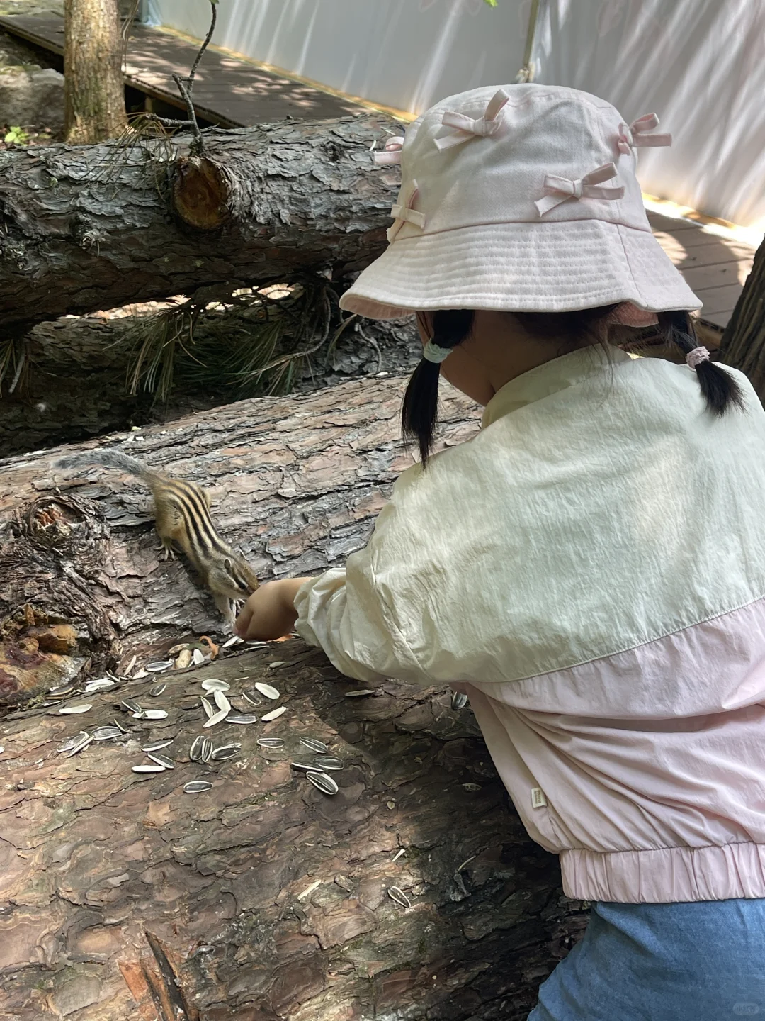 北京出发🌳带娃去25度的伊春过夏天啦