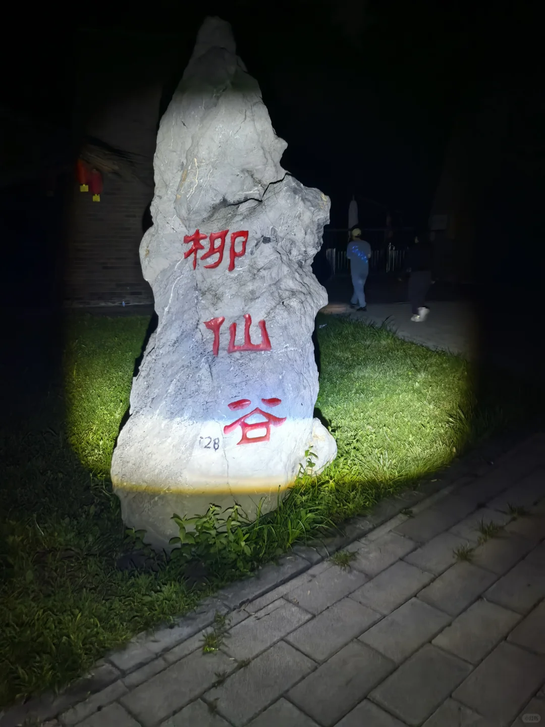 柳仙谷这波赢麻了！
