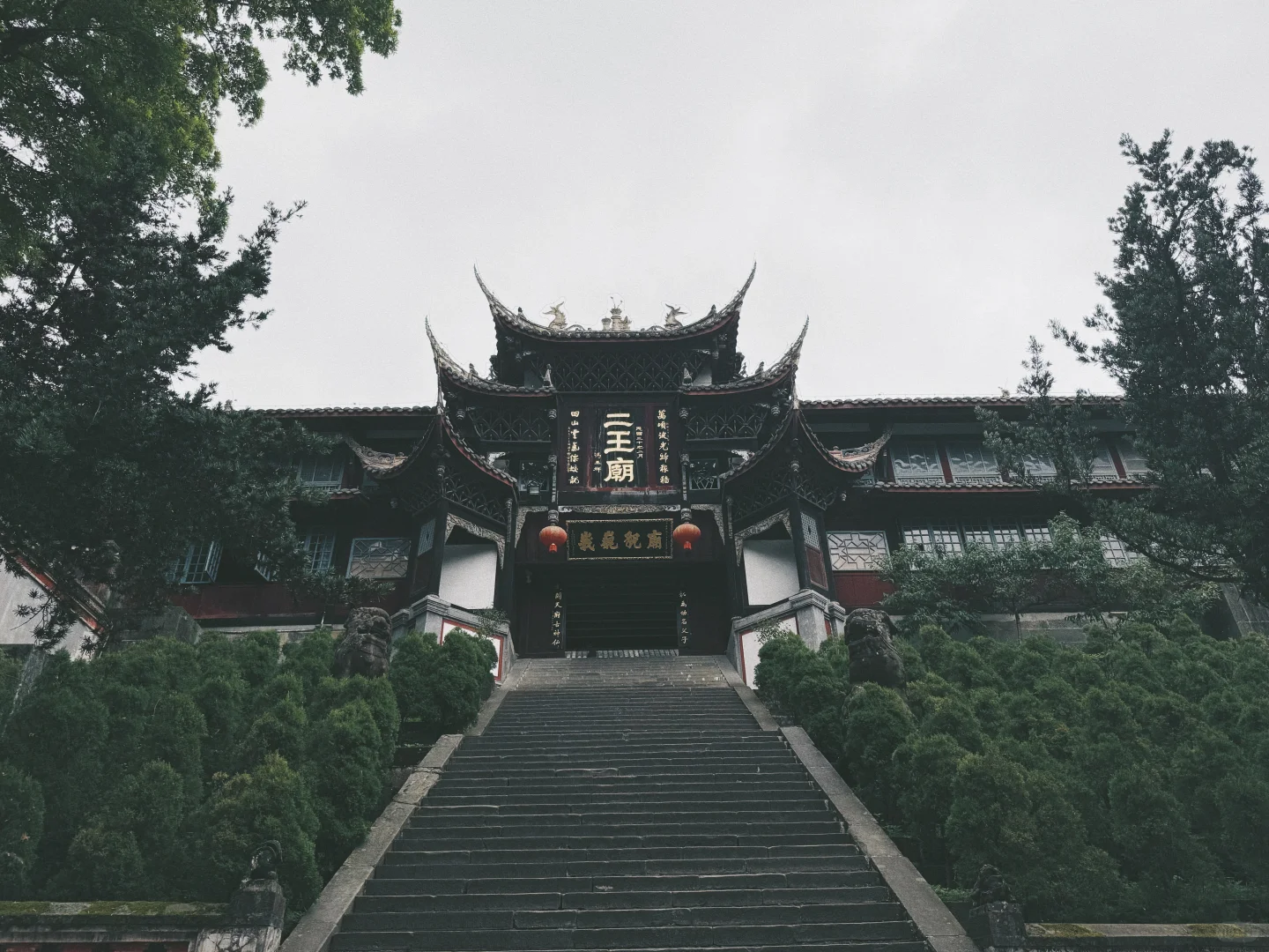特种兵的一周｜D3都江堰