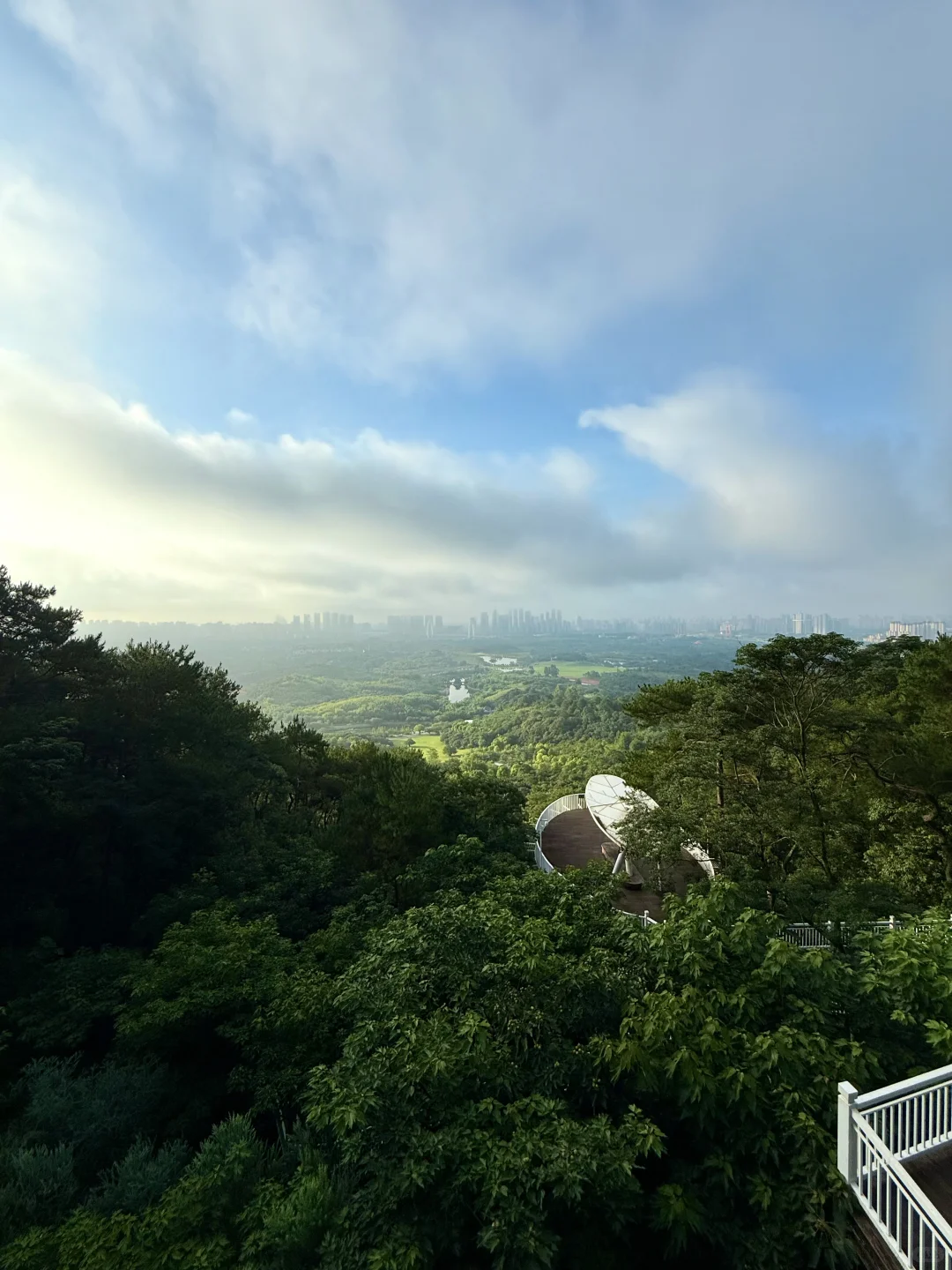 7.17青秀山实况：不敢想象这是雨林大观～