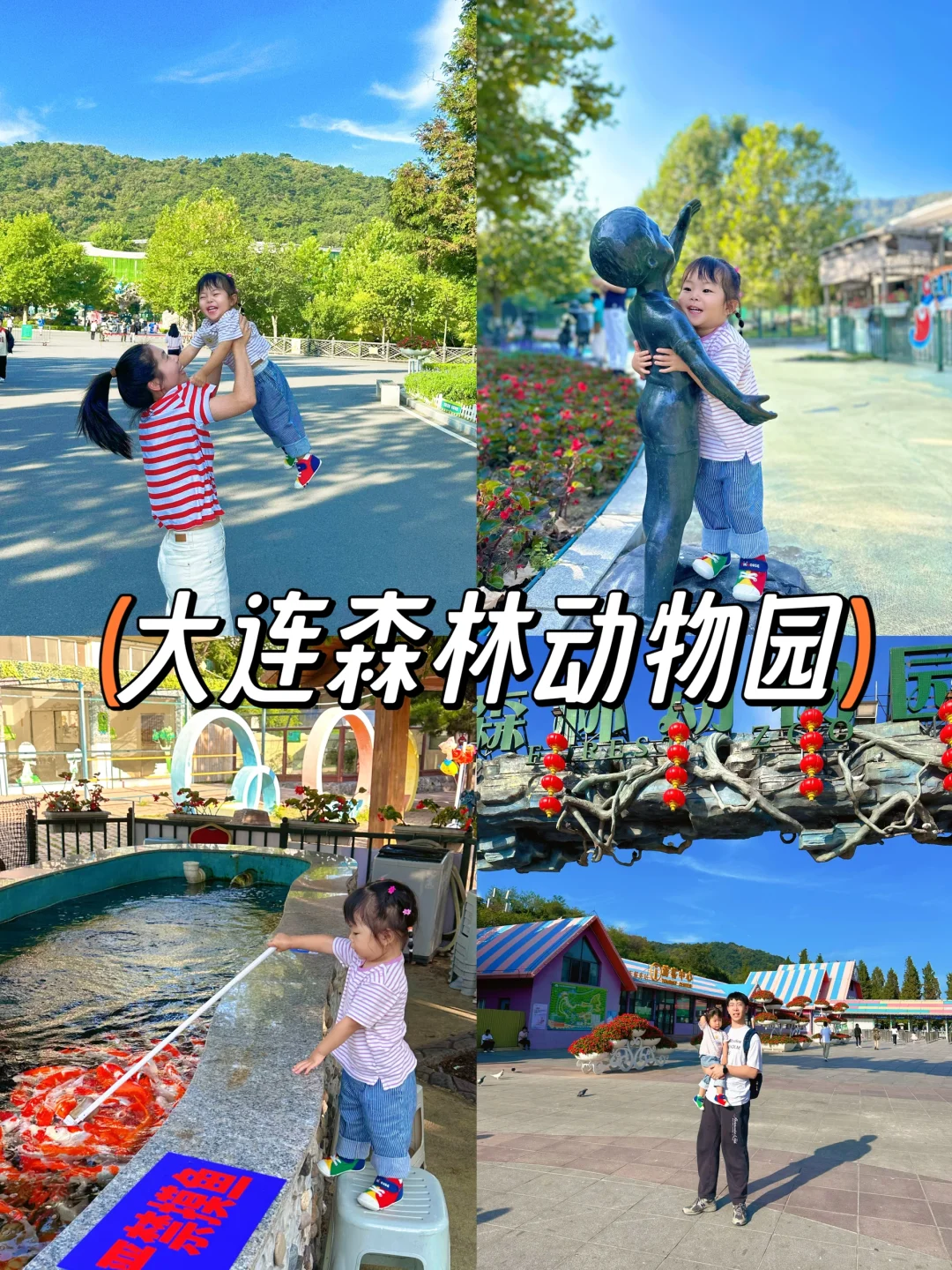 今年暑假，我只带娃去一个地方：大连！