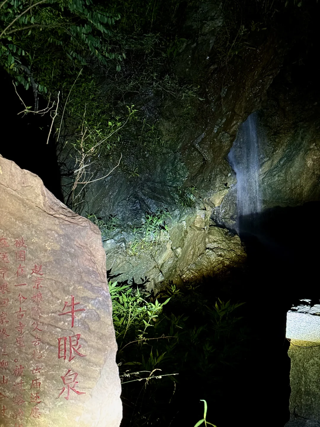 柳仙谷这波赢麻了！
