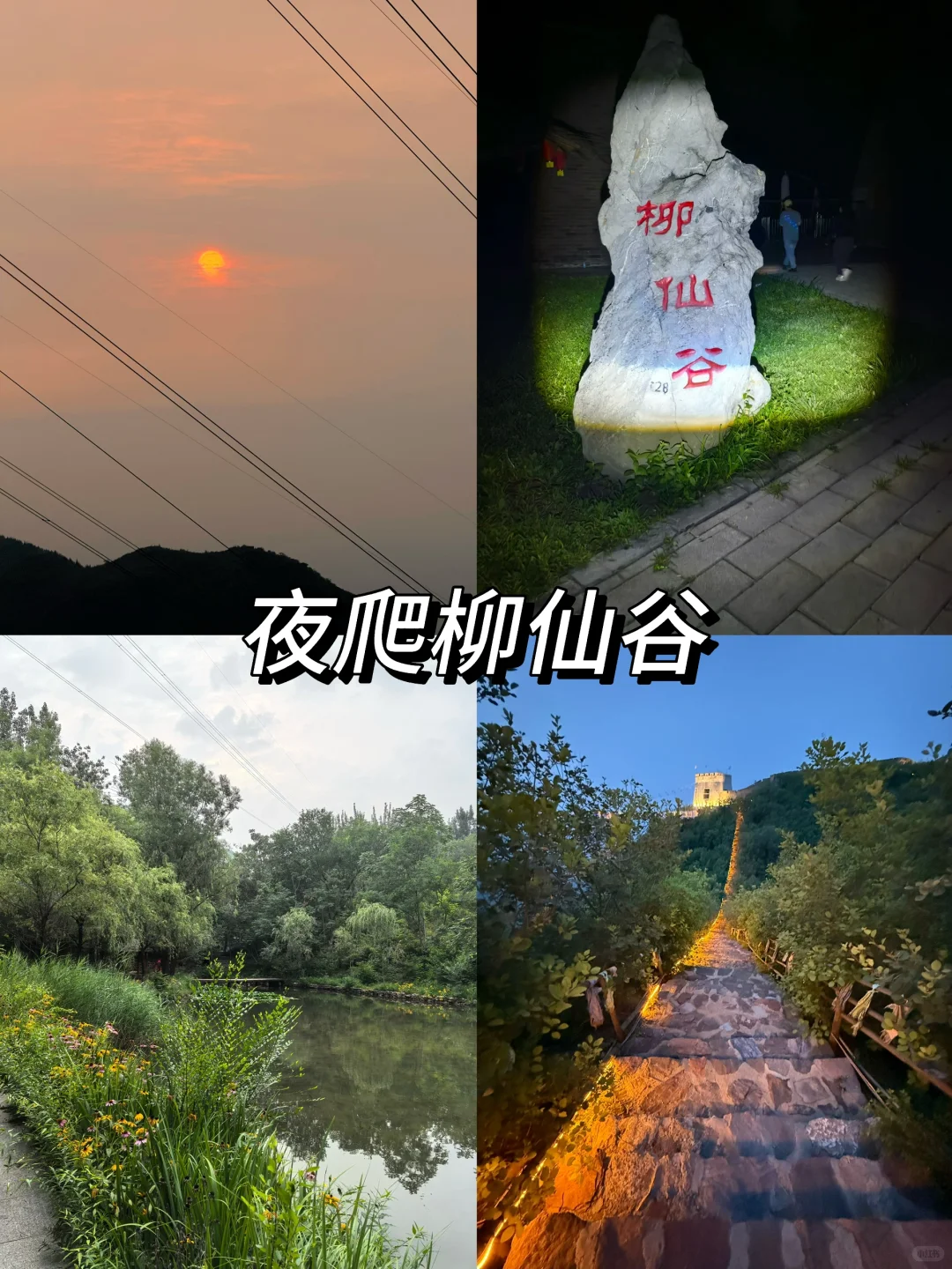 柳仙谷这波赢麻了！