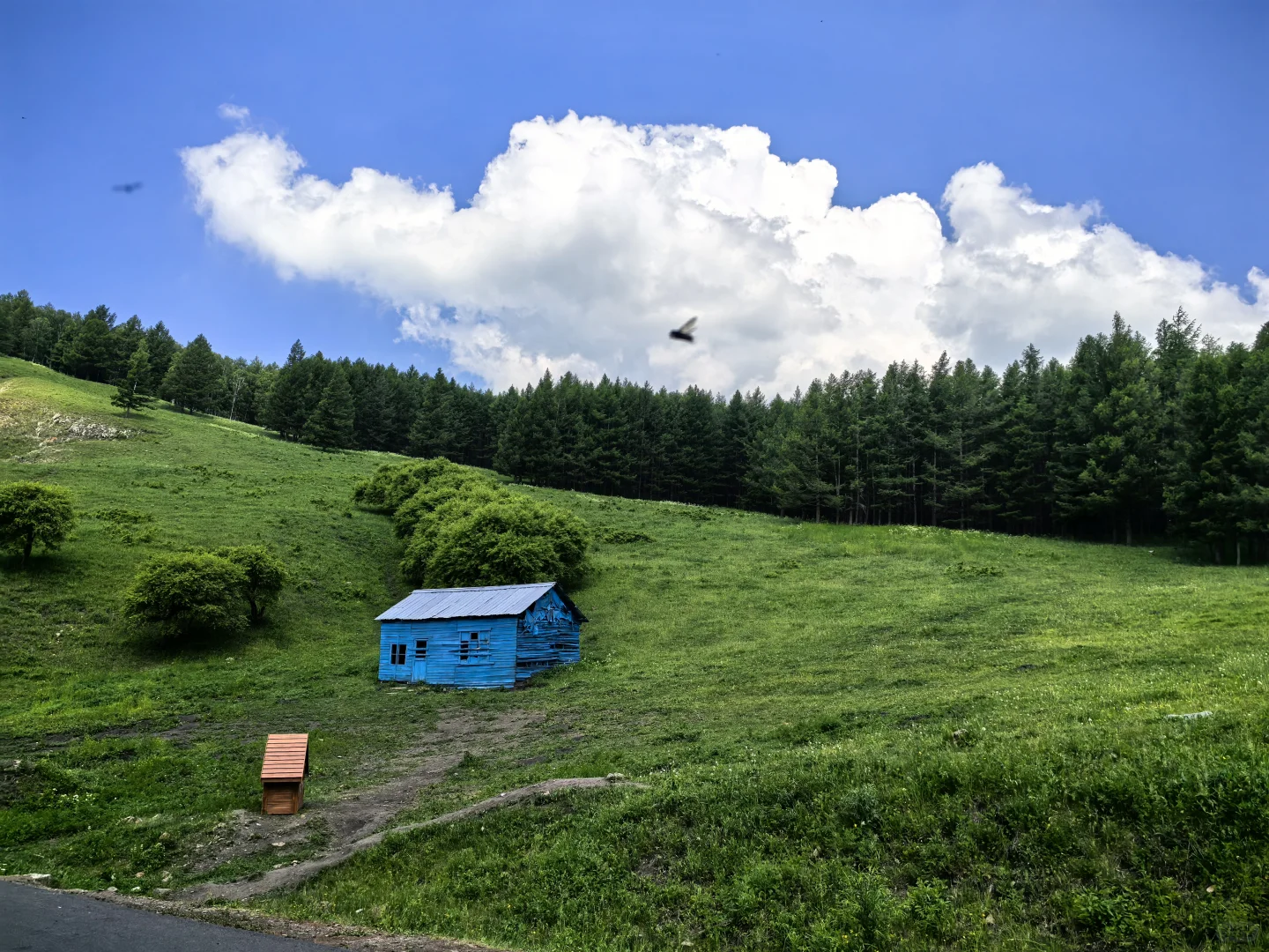 5分钟快速了解阿尔山景区(免费篇)