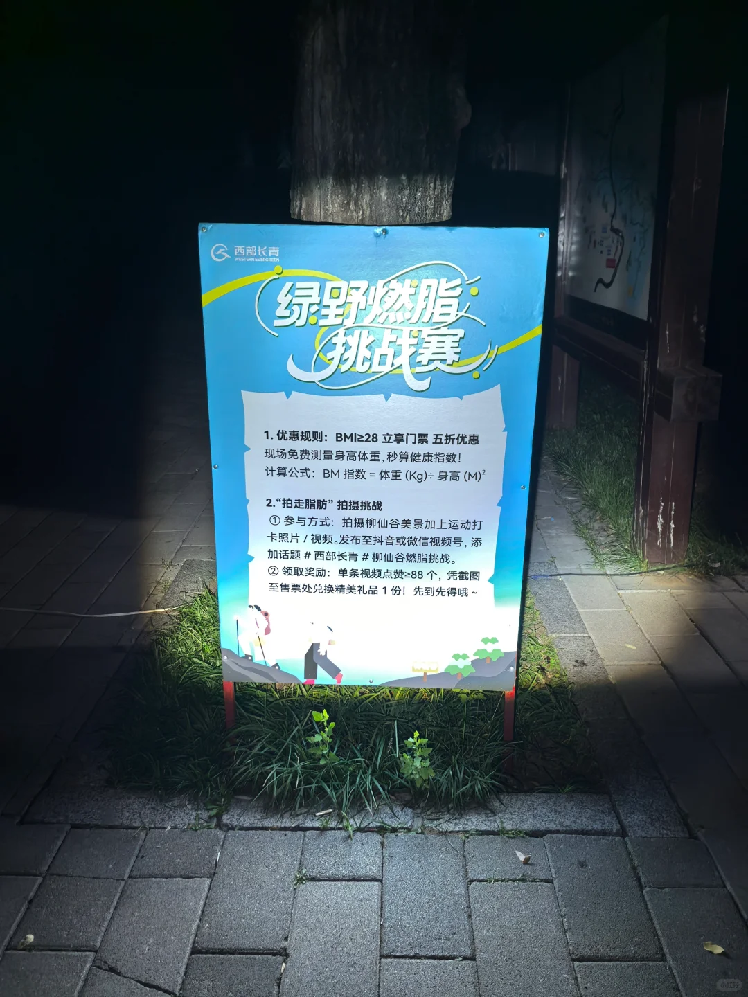 柳仙谷这波赢麻了！