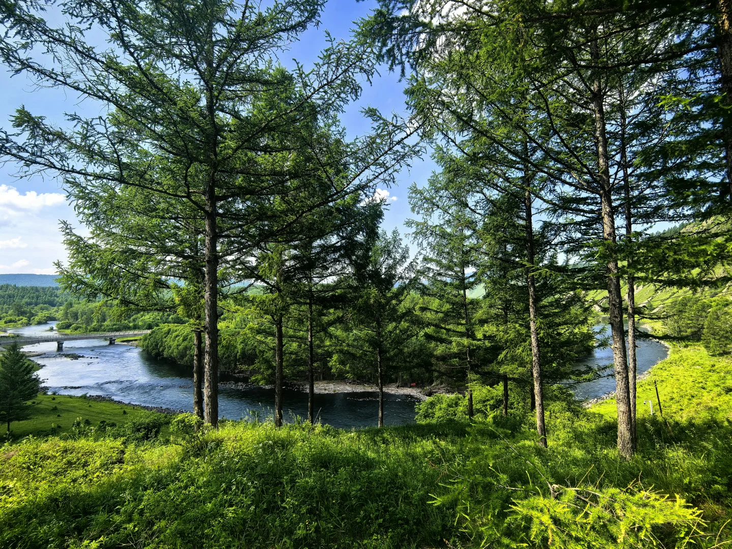 5分钟快速了解阿尔山景区(免费篇)