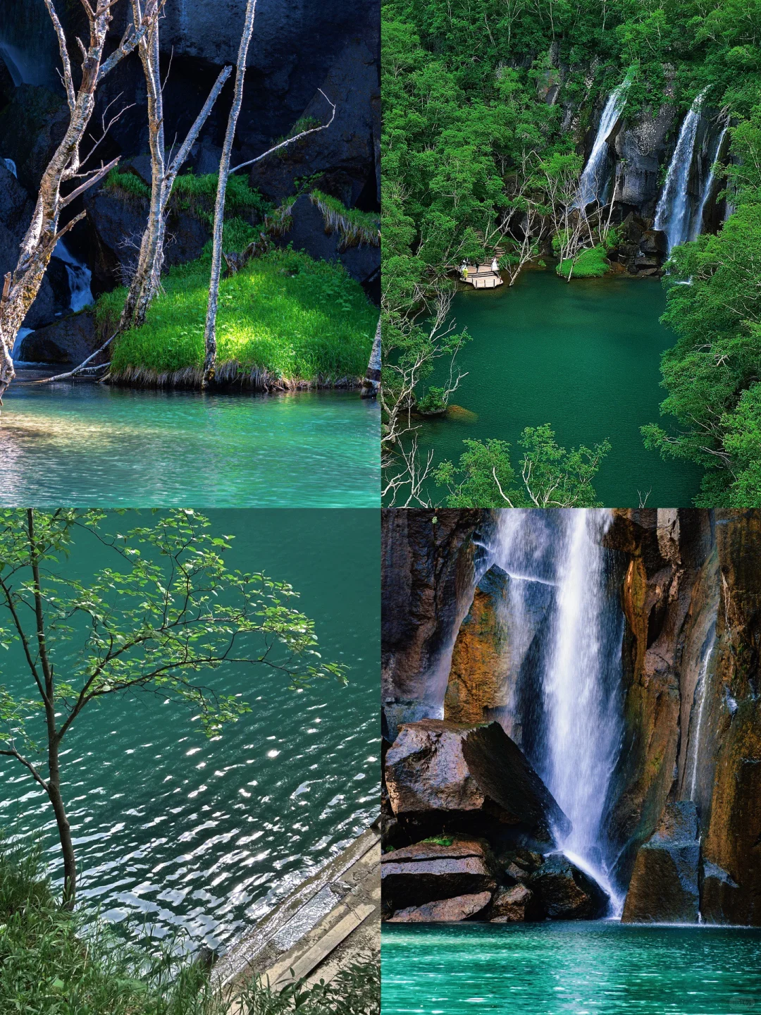 20℃的长白山，才是夏日旅行天花板