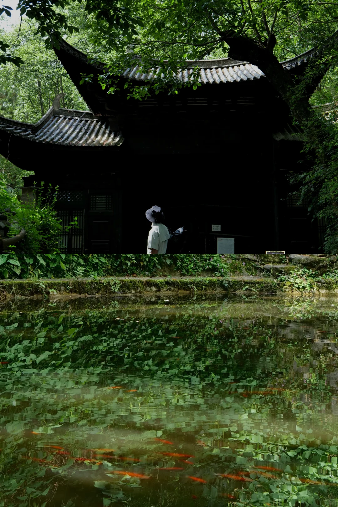 旅居大理一年，我私藏的5个冷门小众好去处：
