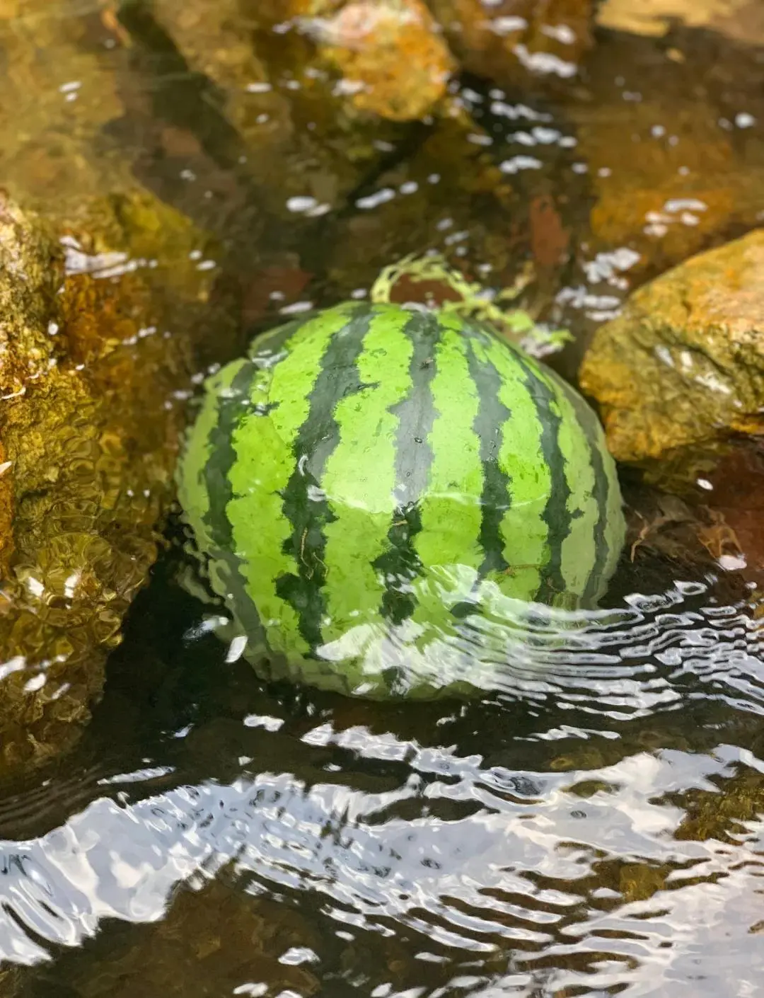 梅州 | 🏜溯溪玩水野炊宝藏地推荐🏞第一集