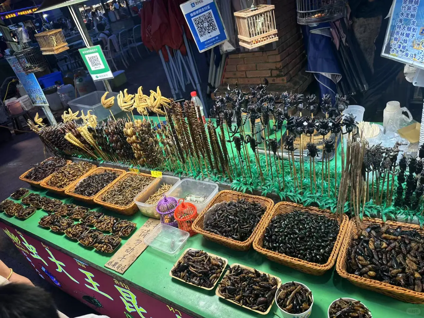 西双版纳旅游推荐