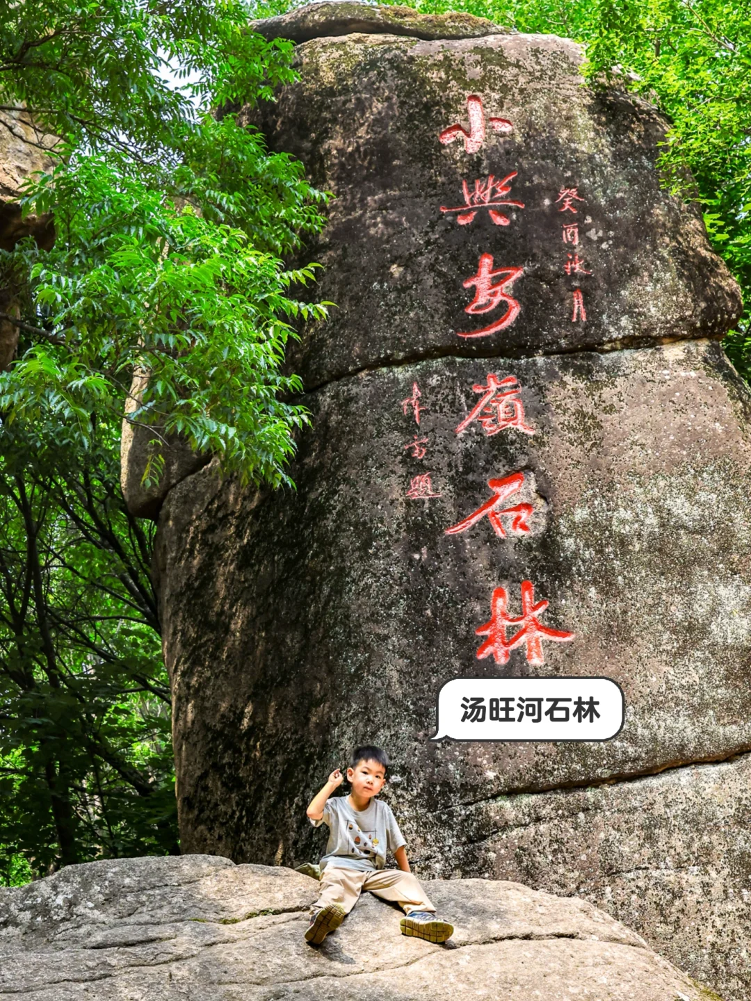 伊春4️⃣大森林公园对比+游玩攻略直接抄作业