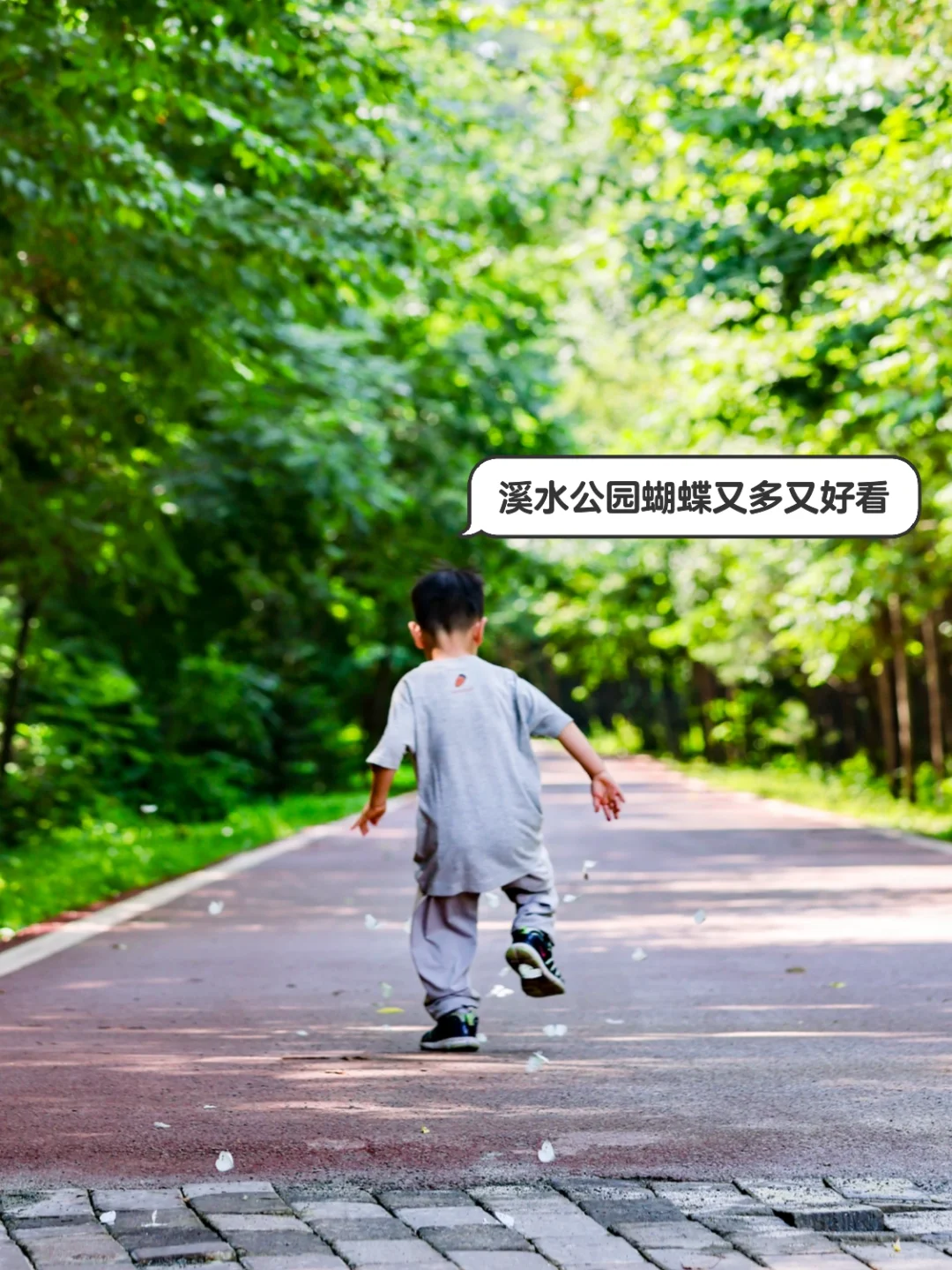 伊春4️⃣大森林公园对比+游玩攻略直接抄作业