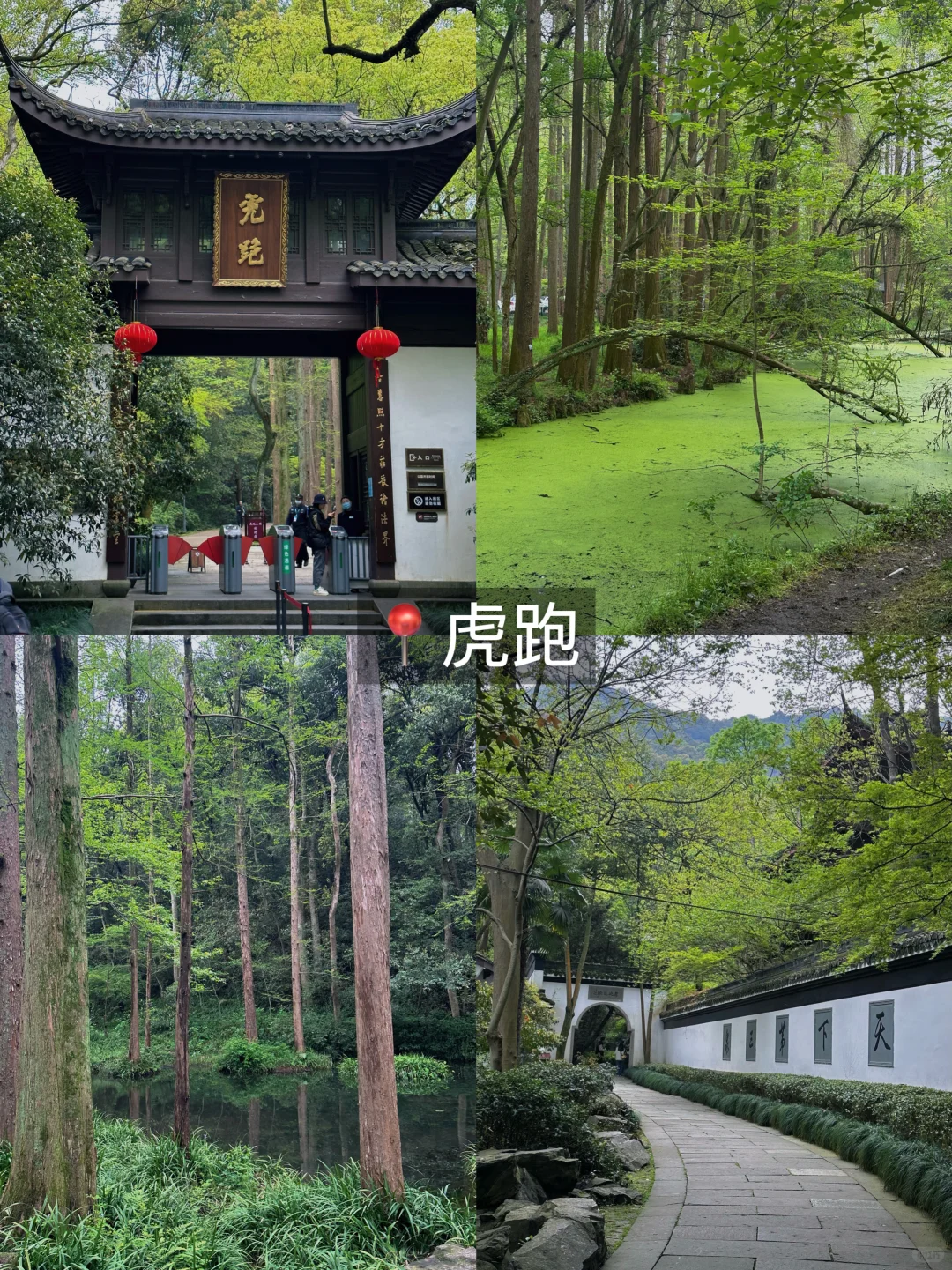 来杭州必去的9️⃣大景点（附攻略！！！