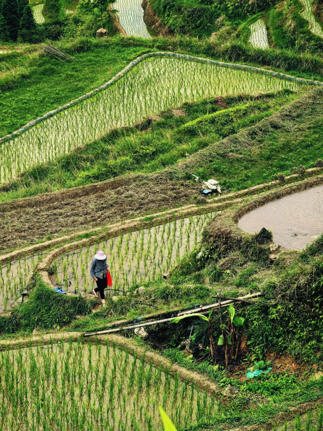 糟糕！梯田怎么拍都好看🌾