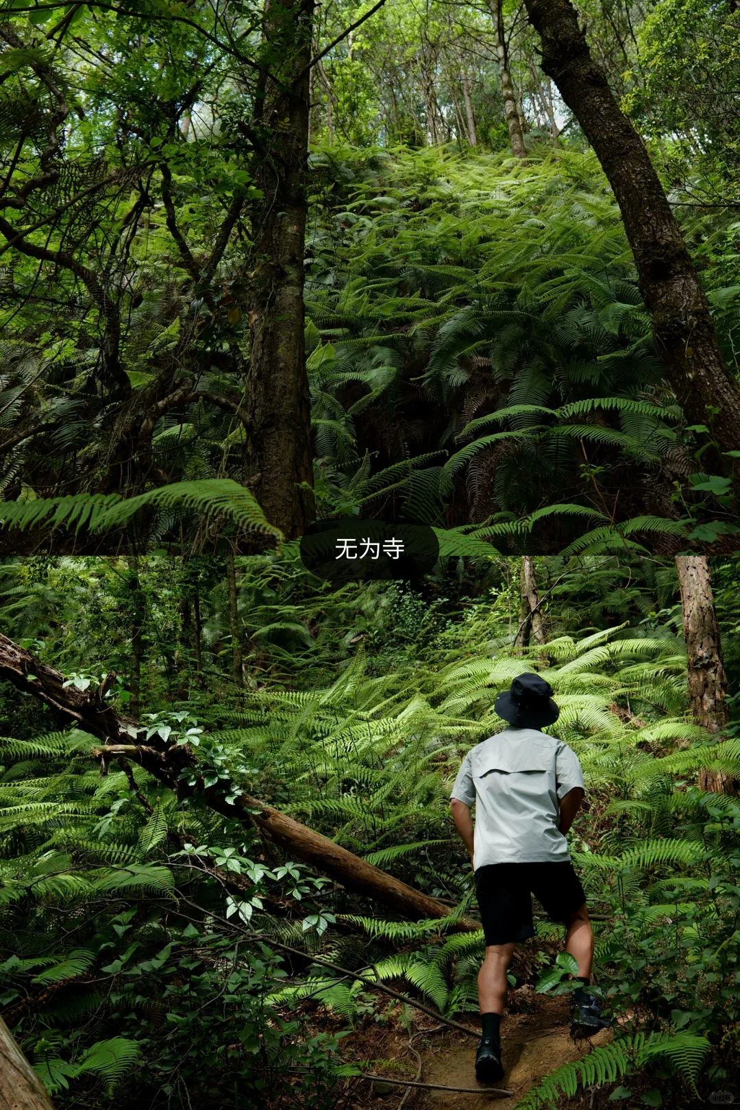 旅居大理一年，我私藏的5个冷门小众好去处：