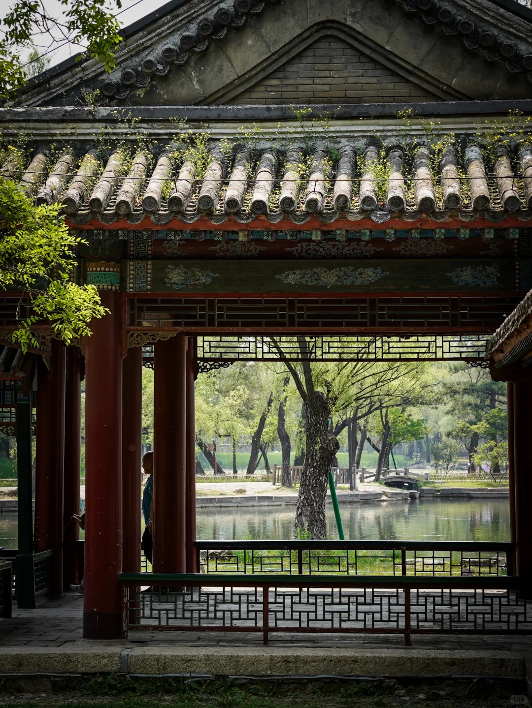 避暑山庄，澹泊敬诚楠木殿，烟波致爽烟雨楼